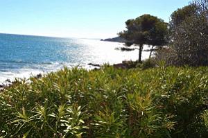 082- Entre Agay et Antheor
